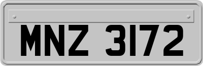 MNZ3172