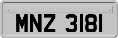 MNZ3181