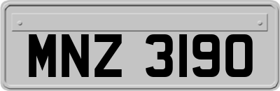 MNZ3190