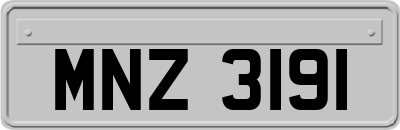 MNZ3191