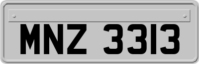 MNZ3313