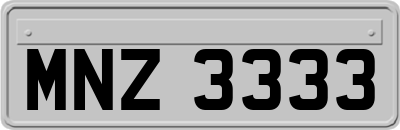 MNZ3333