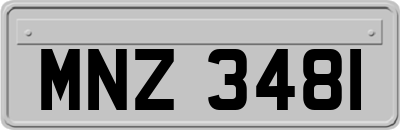 MNZ3481