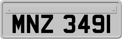 MNZ3491