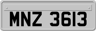 MNZ3613