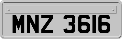 MNZ3616