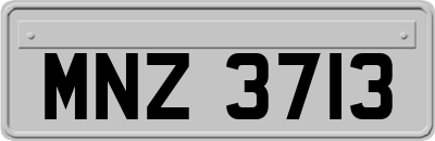 MNZ3713