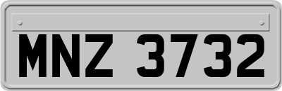 MNZ3732