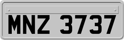 MNZ3737