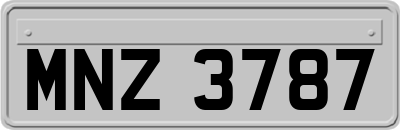 MNZ3787