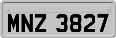 MNZ3827