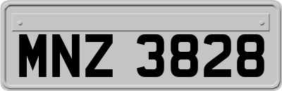 MNZ3828