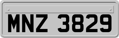 MNZ3829