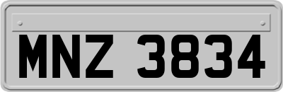 MNZ3834