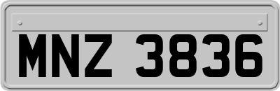 MNZ3836