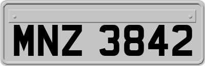 MNZ3842
