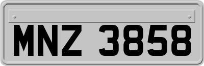 MNZ3858