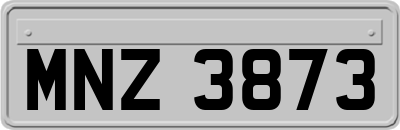 MNZ3873