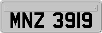 MNZ3919