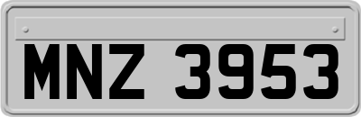 MNZ3953