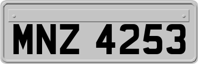 MNZ4253