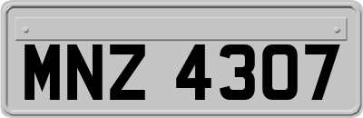 MNZ4307