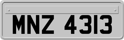 MNZ4313