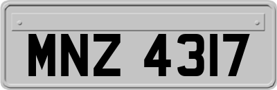 MNZ4317