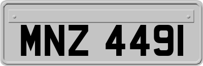 MNZ4491