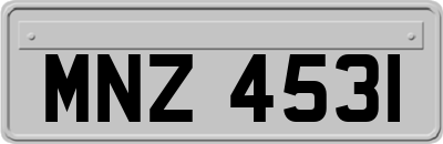 MNZ4531