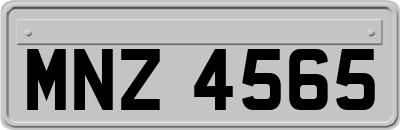 MNZ4565
