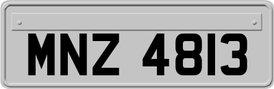 MNZ4813