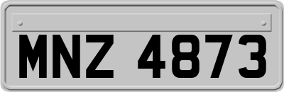 MNZ4873