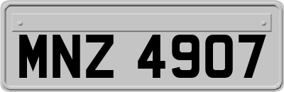 MNZ4907