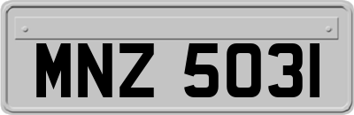 MNZ5031
