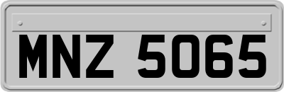 MNZ5065