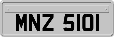 MNZ5101