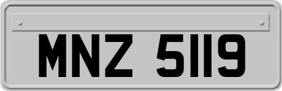 MNZ5119