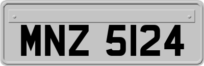 MNZ5124