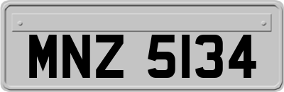 MNZ5134