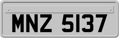 MNZ5137