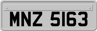 MNZ5163
