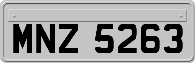 MNZ5263