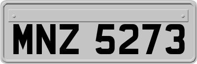 MNZ5273