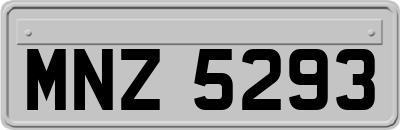 MNZ5293