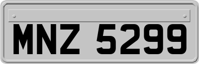MNZ5299