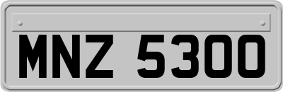 MNZ5300