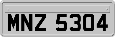 MNZ5304
