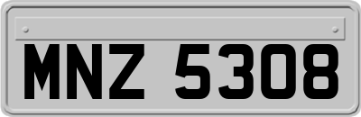 MNZ5308