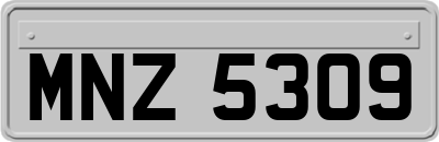 MNZ5309